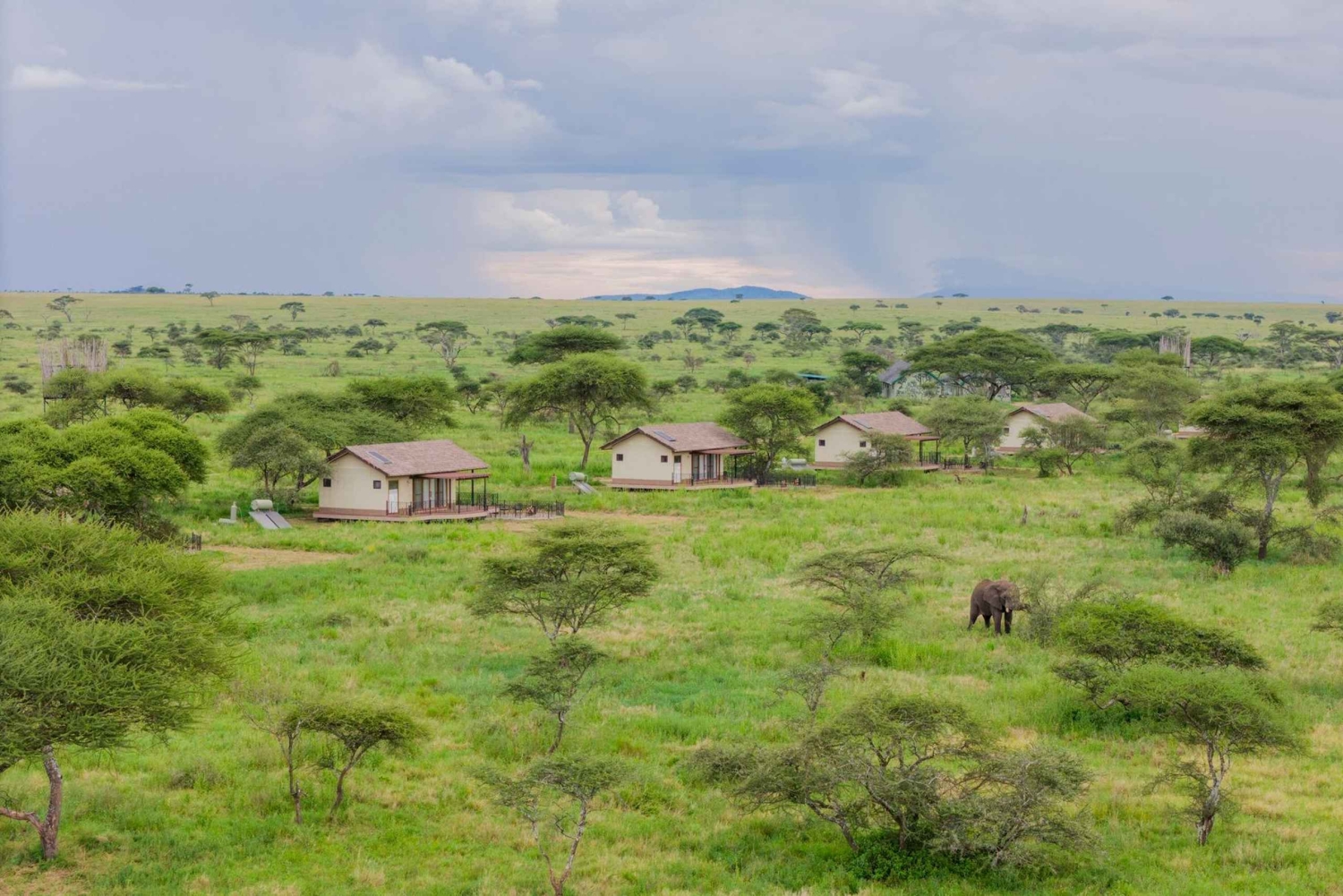Zanzibar: Tarangire safari over natten med nattsafari