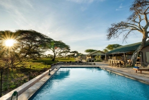 Zanzibar: Tarangire safari over natten med nattsafari