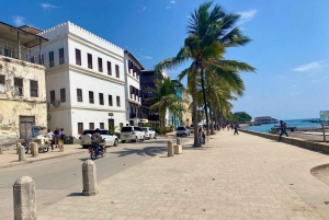 Zanzibar Taxi: Transfer with van From any hotel to airport