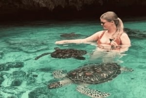 Zanzibar: Tazari Village Tour and Swimming with Turtles