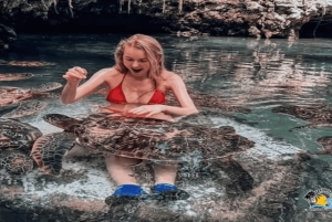 Zanzibar: Tazari Village Tour and Swimming with Turtles