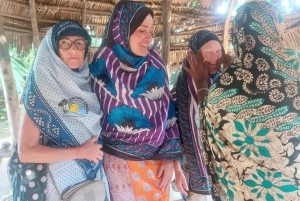 Zanzibar: Tazari-kylän kävelykierros ja lähtöaika dhow-risteilyyn