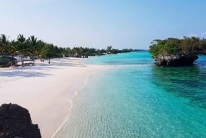Zanzibar: The Rock, Paje Beach, Jozani Forest & Salaam Cave