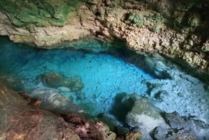 Zanzibar: The Rock, spiaggia di Paje, foresta di Jozani, grotta di Salaam
