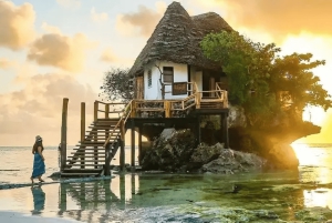 Zanzibar: The Rock, spiaggia di Paje, foresta di Jozani, grotta di Salaam