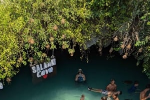 Zanzibar: The Rock, Paje Beach, Foresta di Jozani e Grotta di Salaam