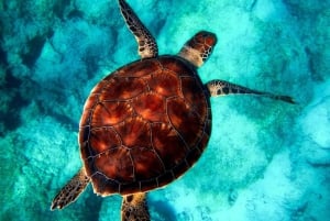 Zanzibar: The Rock Restaurant and Salaam Cave Tour