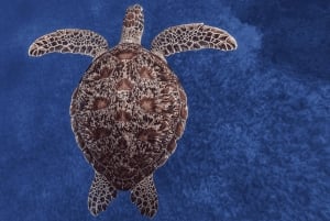 Zanzibar: The Rock Restaurant and Salaam Cave Tour