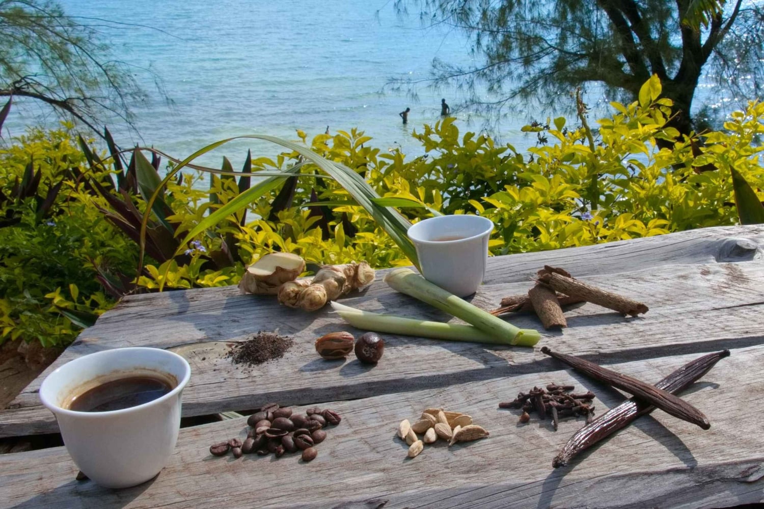 Zanzíbar: la experiencia de las especias swahilis: tour de las especias + viaje culinario.