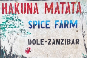 Zanzíbar: la experiencia de las especias swahilis: tour de las especias + viaje culinario.