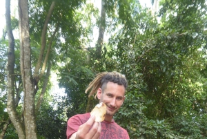 Zanzíbar: la experiencia de las especias swahilis: tour de las especias + viaje culinario.