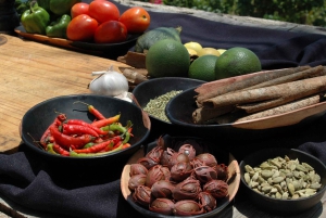 Zanzíbar: la experiencia de las especias swahilis: tour de las especias + viaje culinario.