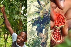 Zanzibar: Swahilin maustekokemus – maustekierros + kulinaarinen matka