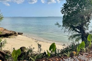Zanzibar: Swahilin maustekokemus – maustekierros + kulinaarinen matka