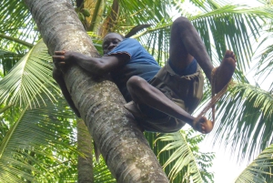 Zanzibar: Swahilin maustekokemus – maustekierros + kulinaarinen matka
