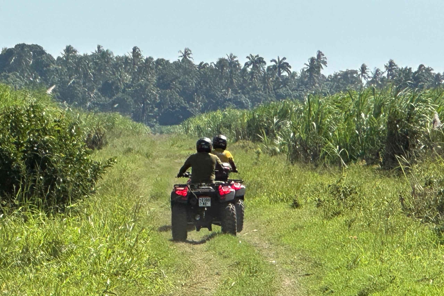 ザンジバル：究極の四輪バギーオフロードアドベンチャーをお楽しみください