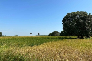 ザンジバル：究極の四輪バギーオフロードアドベンチャーをお楽しみください