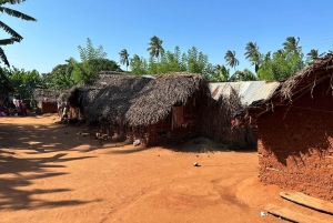 ザンジバル：究極の四輪バギーオフロードアドベンチャーをお楽しみください