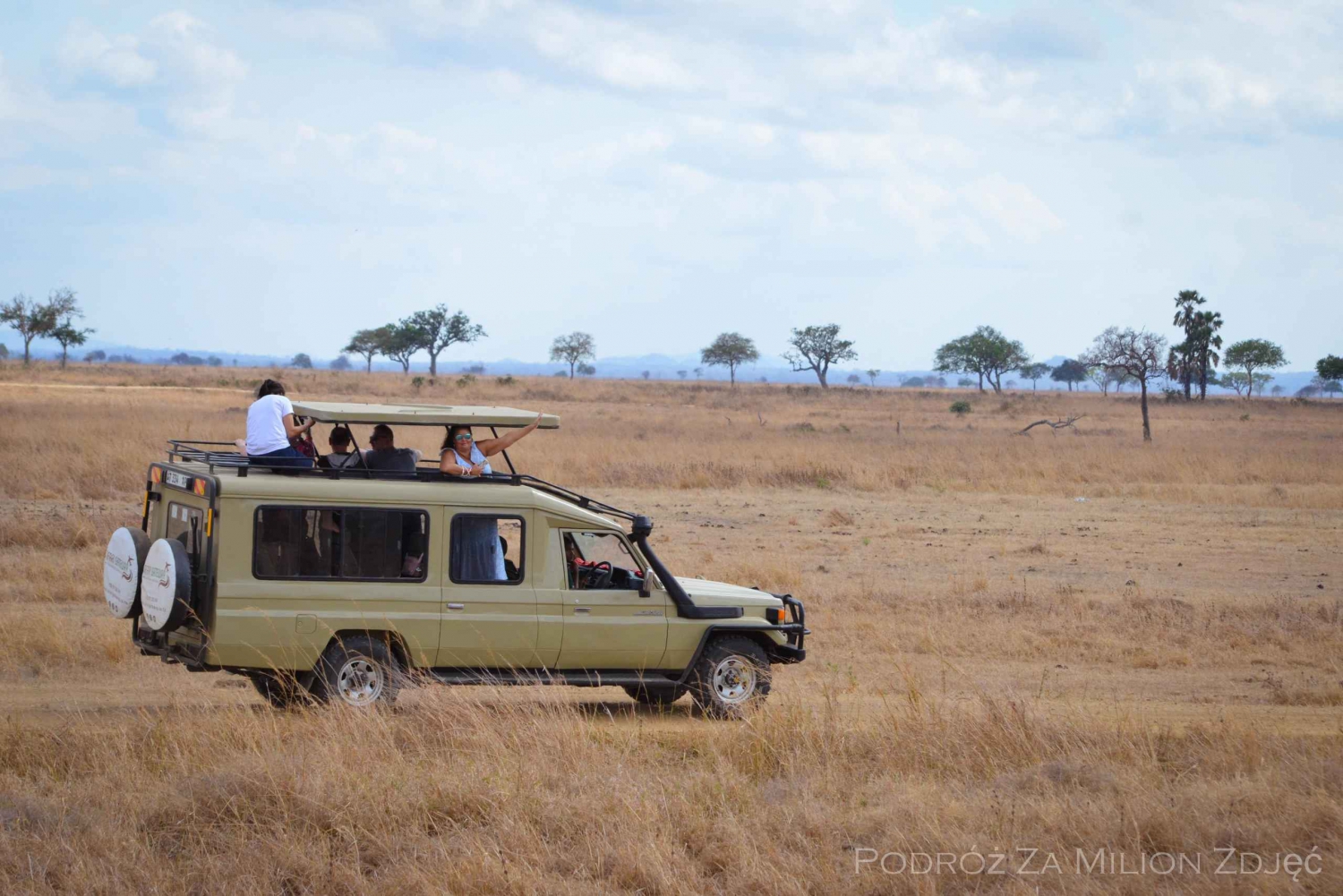 Zanzibar til Mikumi: Det ultimate safarieventyret på en dagstur
