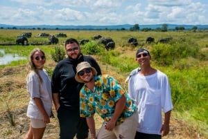 Zanzibar till Mikumi: Ditt ultimata safariäventyr med dagsutflykt
