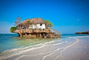 Zanzibar: Omvisning i Jozani-skogen og på Rock Restaurant