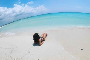 Zanzibar: Utflukt til Prison Island og Nakupenda sandbank med lunsj