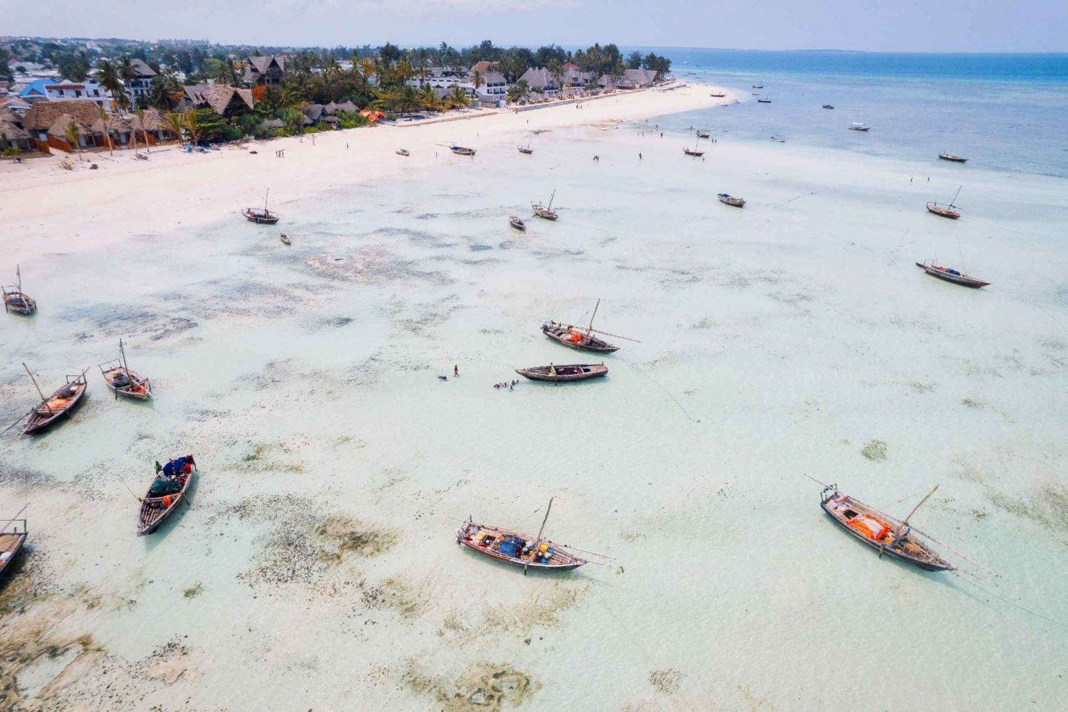 Zanzibar: Traditional Fishing Boat Tour with Transfer