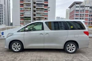 Zanzibar: Transfer da/per l'aeroporto da qualsiasi località