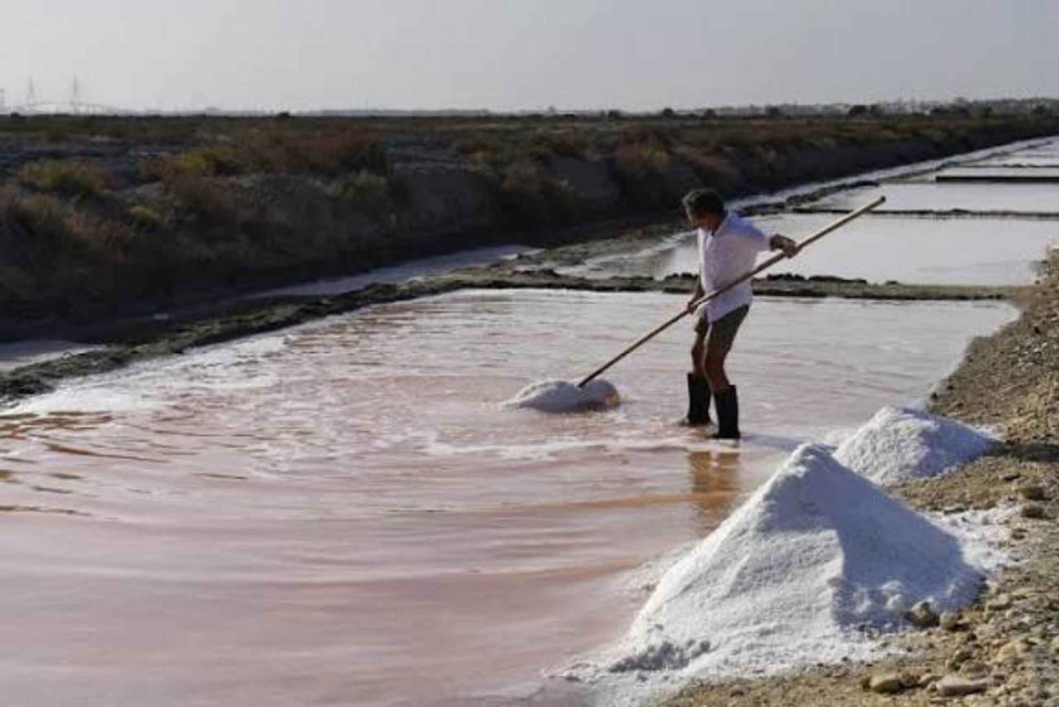 Zanzibar: przeźroczysty kajak i wycieczka po farmie soli