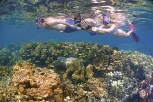 Zanzibar: Bådtur til Tumbatu-øen med snorkling