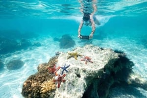 Zanzibar: Bådtur til Tumbatu-øen med snorkling