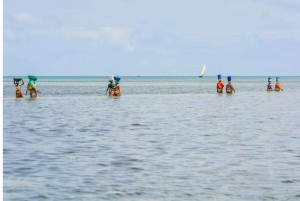 Zanzibar: Dagsutflykt till ön Tumbatu