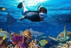 Zanzibar: tour guidato dell'isola di Tumbatu con giro in barca