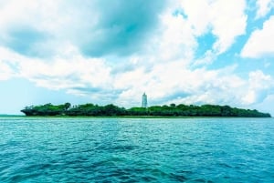 Zanzibar: tour guidato dell'isola di Tumbatu con giro in barca
