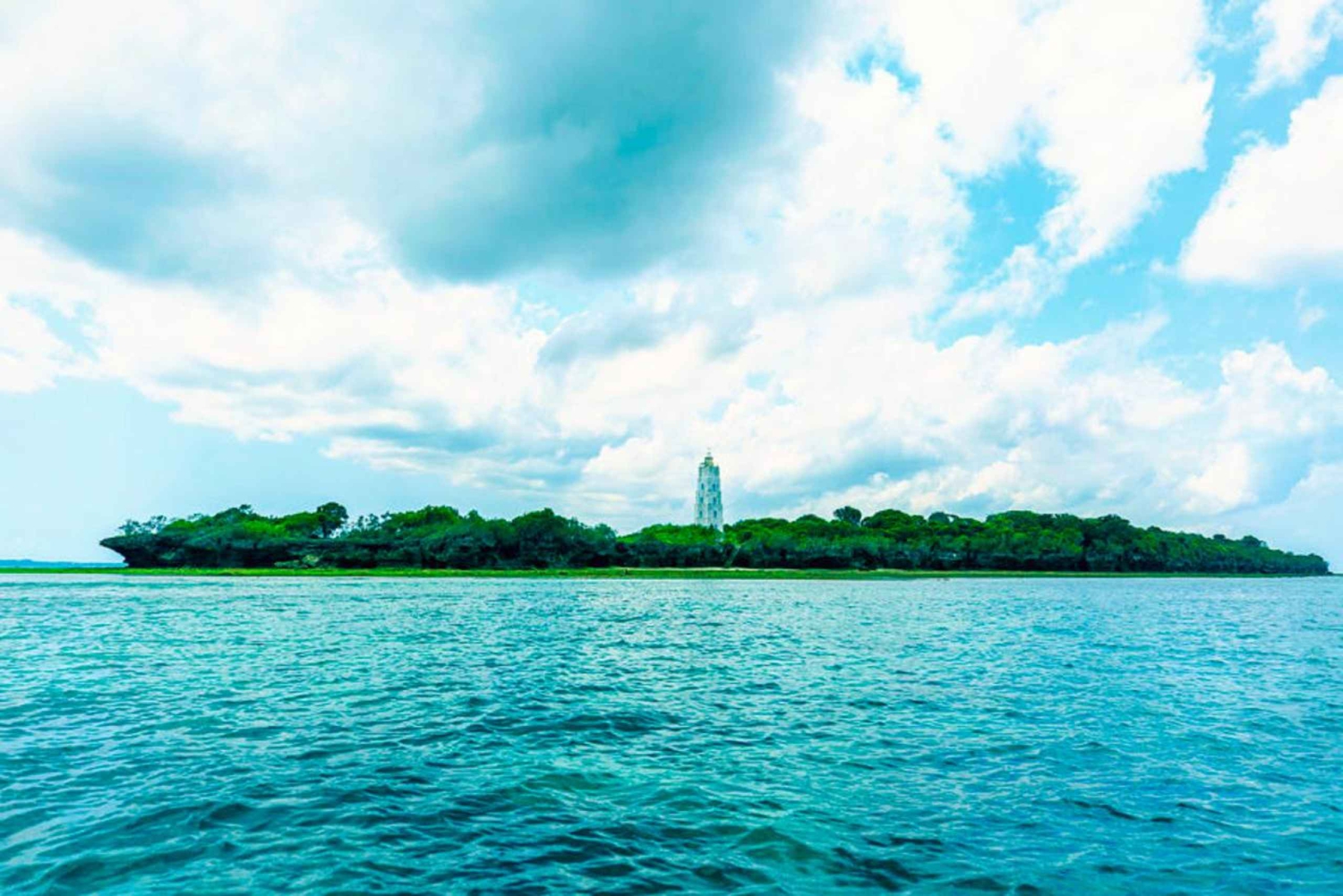 ザンジバル：トゥンバトゥ島プライベートシュノーケリングアドベンチャーツアーをお楽しみください