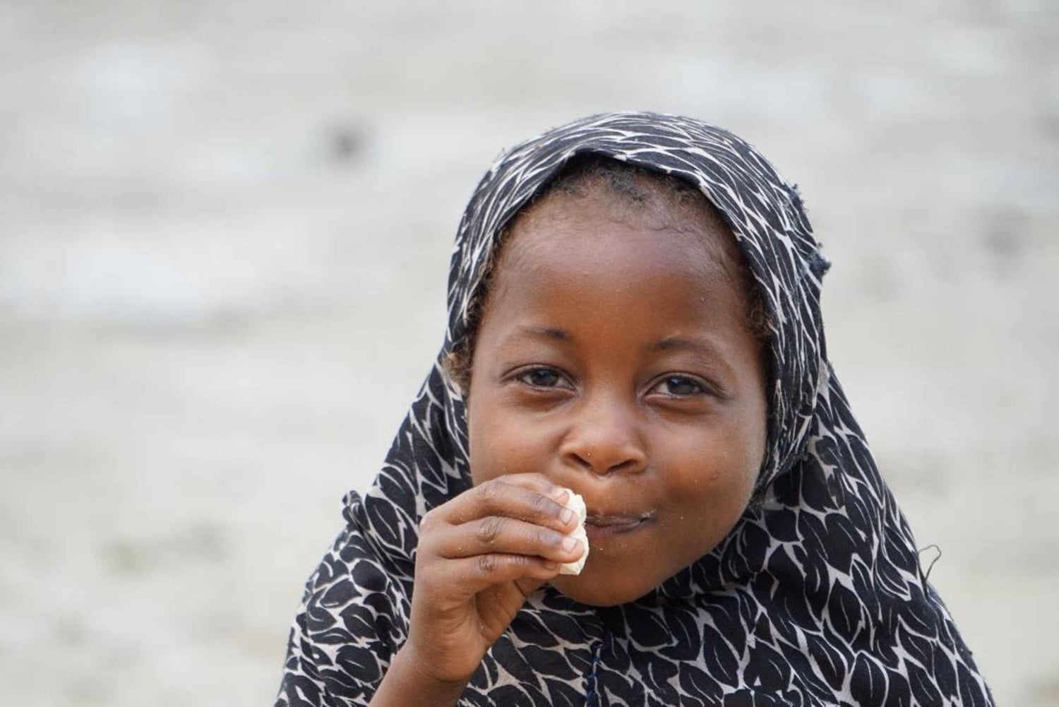 ザンジバル：トゥンバトゥ島プライベートシュノーケリングアドベンチャーツアーをお楽しみください