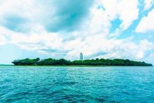 ザンジバル：トゥンバトゥ島プライベートシュノーケリングアドベンチャーツアーをお楽しみください