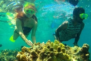Zanzibar: Snorkling ved Tumbatu-øya med båt og henting