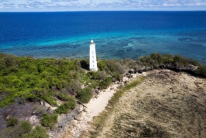 Zanzibar: Snorkeludflugt til øen Tumbatu fra Nungwi