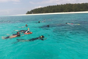 Zanzibar: Snorkeludflugt til øen Tumbatu fra Nungwi