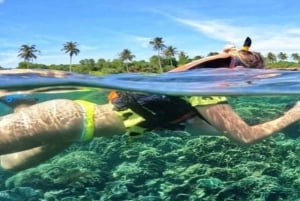 Zanzibar : expérience de plongée avec tuba sur l'île de Tumbatu