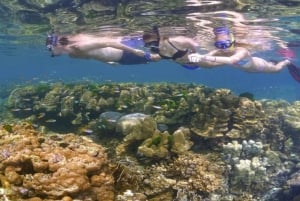 Zanzibar : expérience de plongée avec tuba sur l'île de Tumbatu