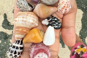 Zanzibar: excursão de snorkeling na Ilha Tumbatu com lanches