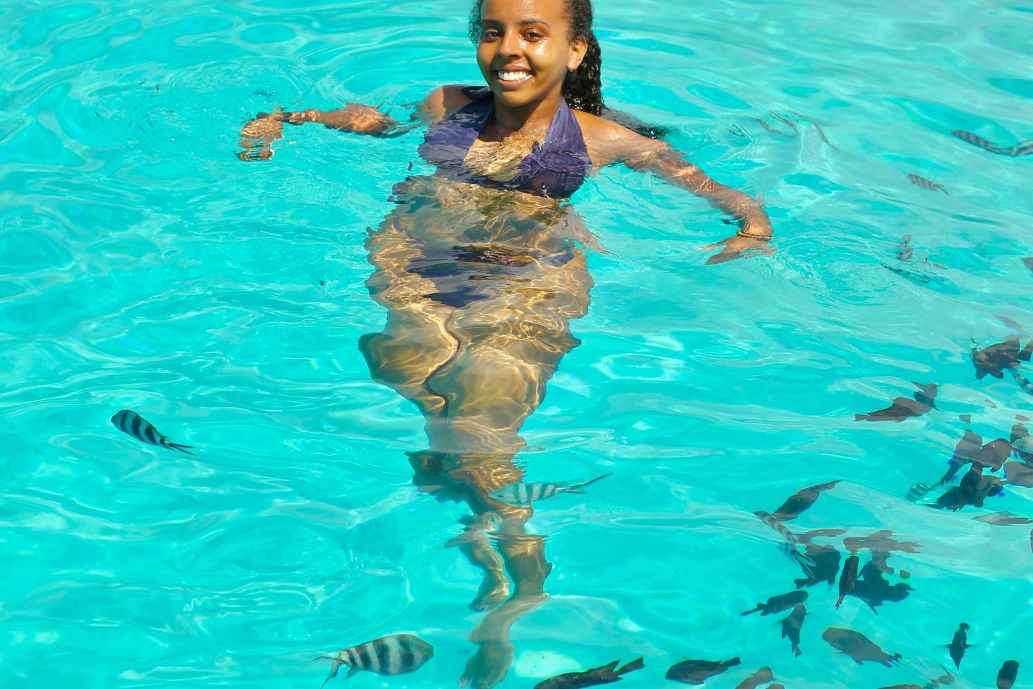 Zanzibar: Ilha Pungume - observação de golfinhos - almoço churrasco