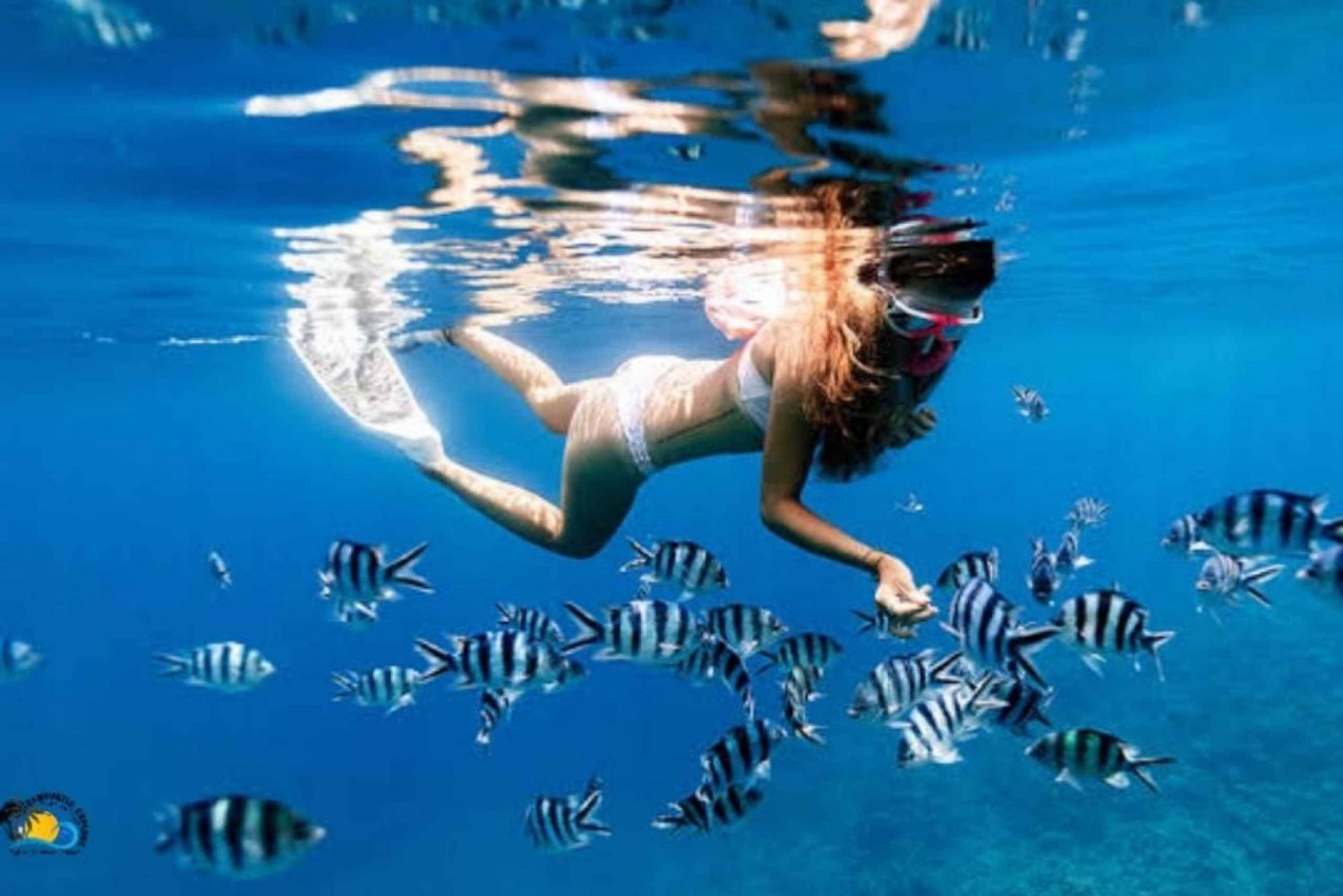 Zanzibar: Svømning og snorkling på øen Tumbatu | Halv dag