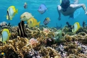 Zanzibar : île de Tumbatu - baignade et plongée avec masque et tuba - demi-journée