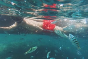 Zanzibar: Natação e mergulho com snorkel na Ilha de Tumbatu - Meio dia