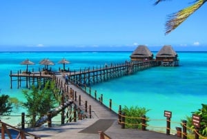 Zanzíbar: excursiones al bosque de Jozani, la cueva de Salaam y la playa de Mtende.