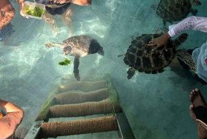 Zanzibar : baignade avec les tortues à la grotte de Salaam et visite de Stone Town