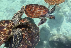 Zanzibar : baignade avec les tortues à la grotte de Salaam et visite de Stone Town